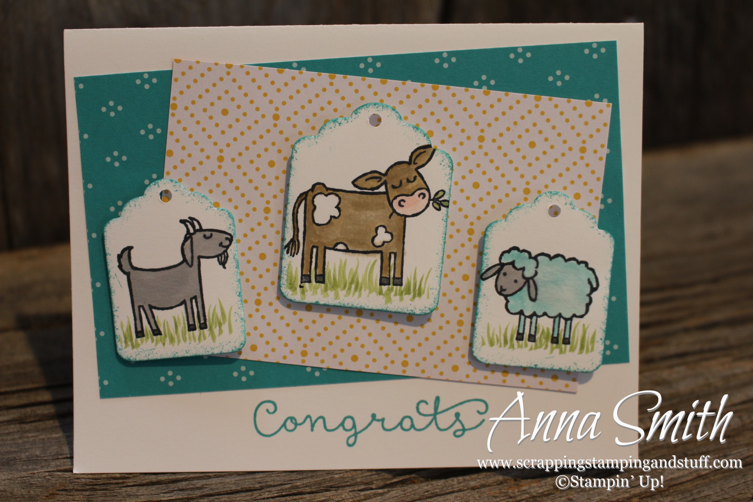 Congrats baby card made with Stampin' Up! Barnyard Babies and Cottage Greetings stamp sets