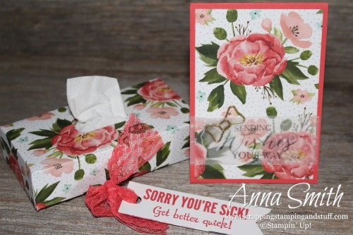 Sorry You're Sick Tissue Box and Card with tissue box cover instructions - uses Fabulous Four and Butterfly Basics stamp sets Birthday Bouquet designer paper by Stampin' Up!