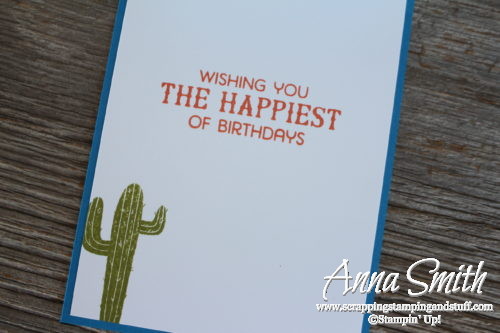 Cute cactis card made with Stampin' Up! Birthday Fiesta Stamp Set