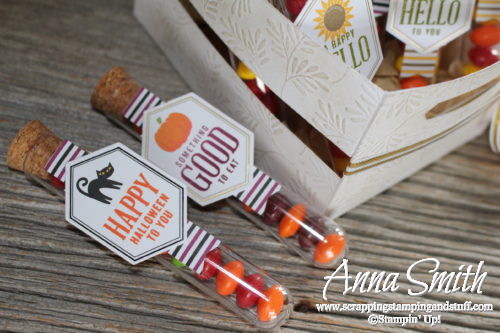 September 2016 Paper Pumpkin Kit Something Good To Eat Halloween Treats in test tubes