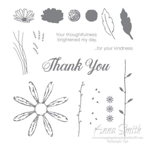 Stampin' Up! Daisy Delight Stamp Set