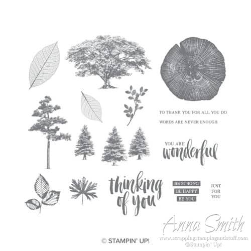 Stampin' Up! Rooted in Nature Stamp Set