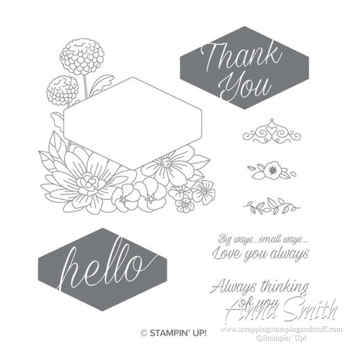 Stampin' Up! Accented Blooms Stamp set