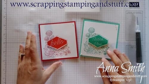 Quick card tutorial for hello and thank you cards using the Stampin' Up! Accented Blooms stamp set and Tailored Tag Punch - a card in 4 minutes!