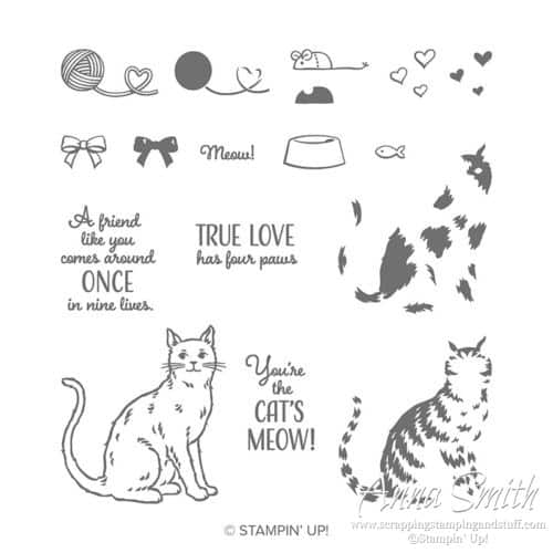 Stampin' Up! Nine Lives Stamp Set