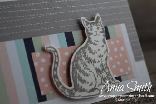 Cute cat card made with the Stampin' Up! Nine Lives stamp set and matching cat punch #simplestamping