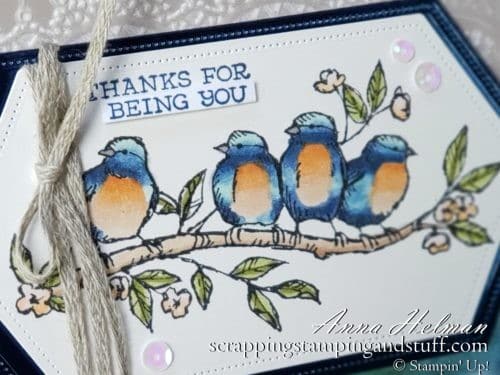 Win the Bird Ballad set during my Giveaway Week!! Lovely thank you card idea using the Stampin Up Bird Ballad suit including Free As A Bird stamp set.