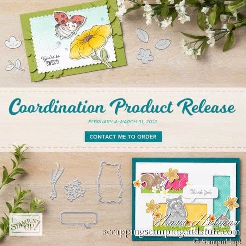 These special release coordinating products are amazing!!! Stampin Up Coordination Product Release Pleased as Punch designer paper and card ideas!