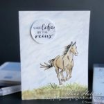 Pretty horse card - take life by the reins - made using Stampin Up Let It Ride stamp set and watercoloring