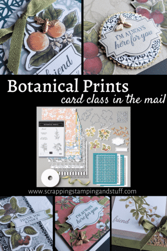 Online Stamping Class & Card Class In the Mail now available with the Stampin Up Botanical Prints Product Medley!