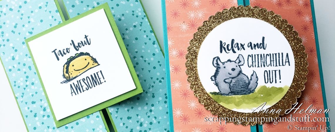 Chichilla Card Idea and Taco Bout Awesome Gate Fold Cards Using The Stampin' Up! Witty-cisms Stamp Set