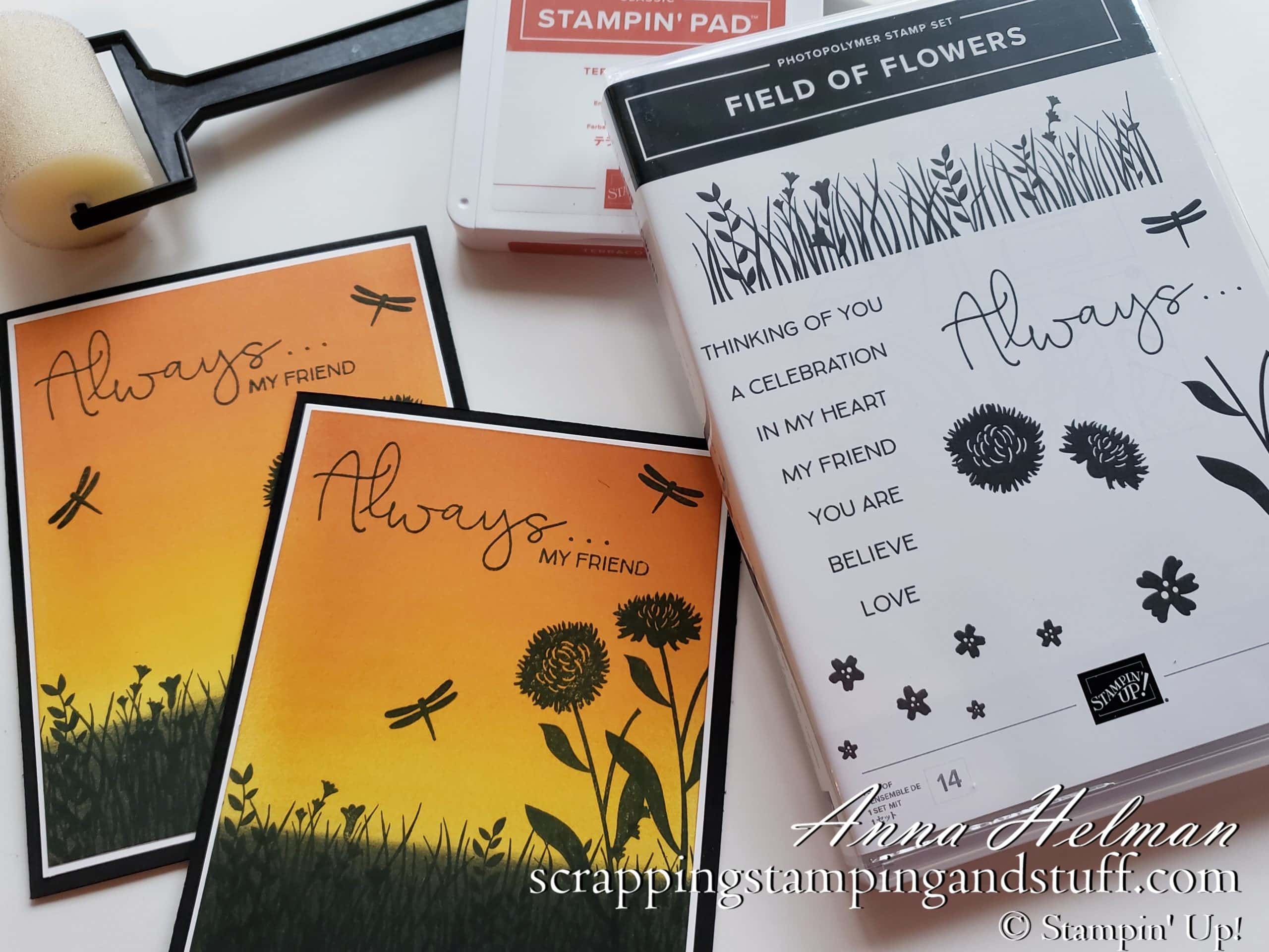 Introducing Stampin Up Field of Flowers