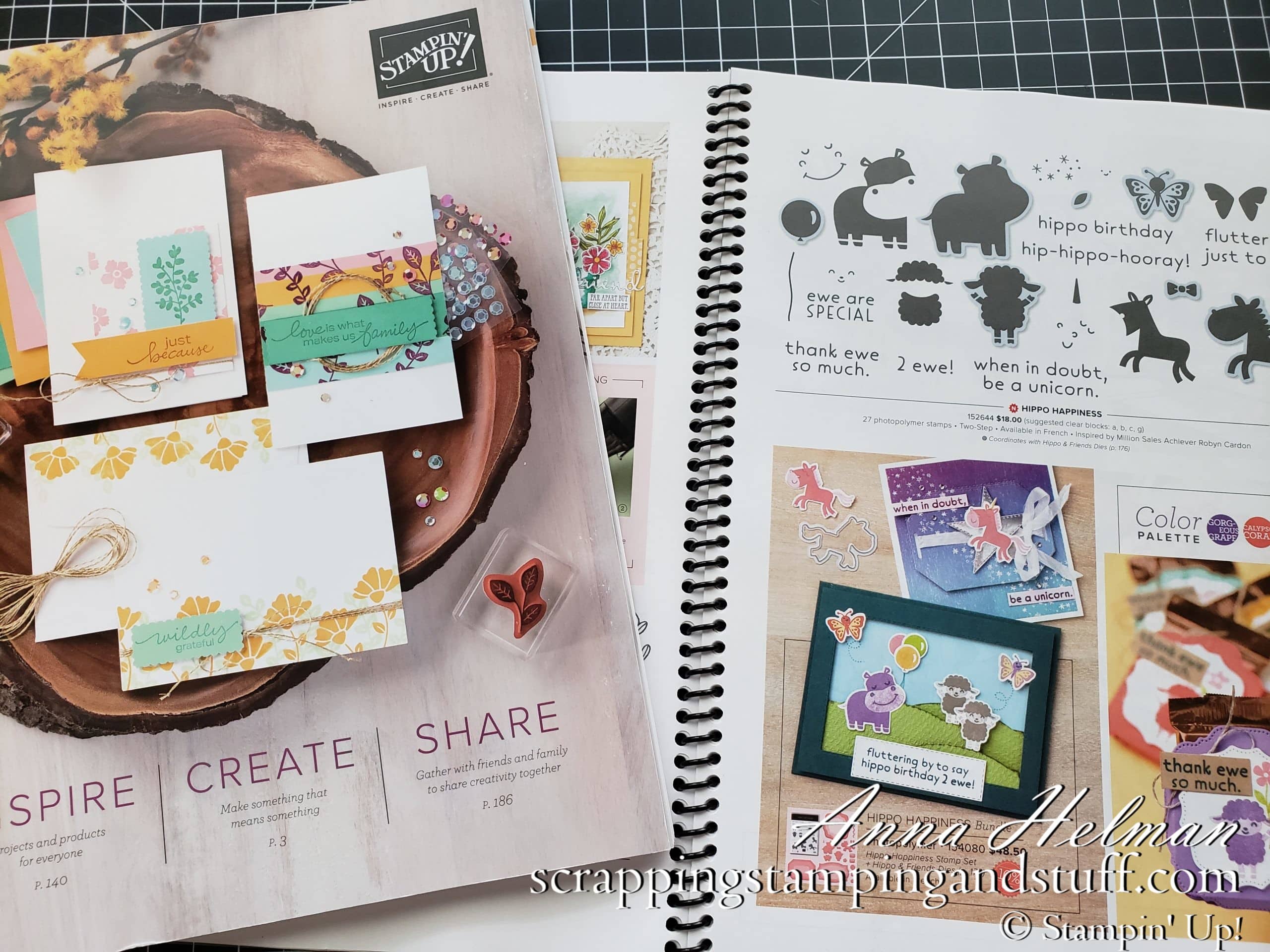 New Stampin Up Catalog Walkthrough