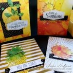 Stampin Up Paper Pumpkin June 2020 - Box of Sunshine card kit with alternative ideas