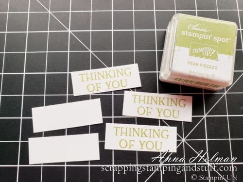 In today's Stamparatus tip video, learn how to stamp small pieces of paper perfectly every time! Your tiny greetings will always be straight!