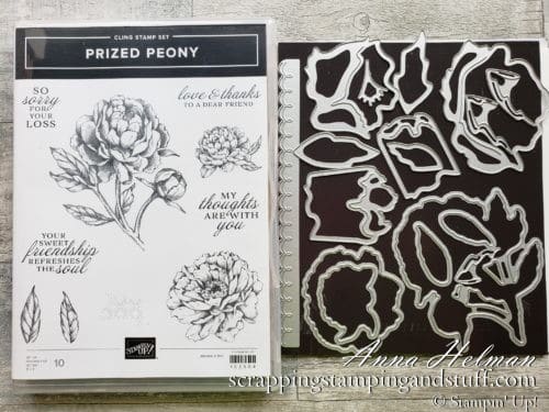 See how to sponge the Stampin Up peony as well as a beautiful slimline card made with the Stampin Up Prized Peony bundle in the 2020 Annual Catalog.