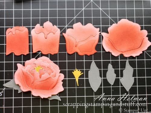 See how to sponge the Stampin Up peony as well as a beautiful slimline card made with the Stampin Up Prized Peony bundle in the 2020 Annual Catalog.