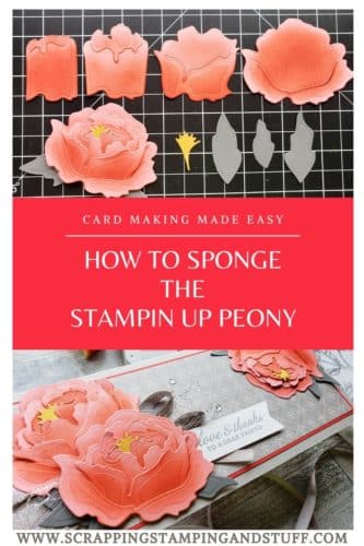 See how to sponge the Stampin Up peony as well as a beautiful slimline card made with the Stampin Up Prized Peony bundle in the 2020 Annual Catalog. 