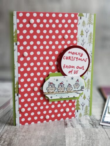 The Stampin Up Have A Hoot stamp set, is full of adorable Halloween and Christmas owl stamps!