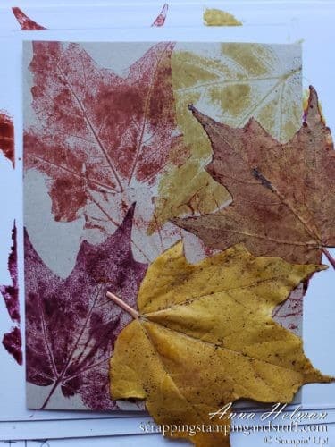 Leaf stamping is an amazing way to make beautiful fall cards using real leaves, ink, and an embossing machine!