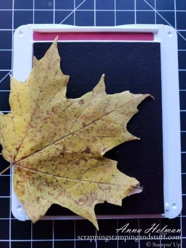 Leaf stamping is an amazing way to make beautiful fall cards using real leaves, ink, and an embossing machine!