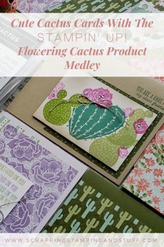 Stampin Up Flowering Cactus is an adorable product collection including cactus stamps, dies, paper and embellishments for amazingly adorable cactus cards.