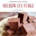 This microwave fudge with marshmallow cream is quick, easy, and the number one best tasting fudge I have EVER tasted. Try it yourself!