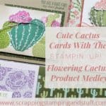 Stampin Up Flowering Cactus is an adorable product collection including cactus stamps, dies, paper and embellishments for amazingly adorable cactus cards.