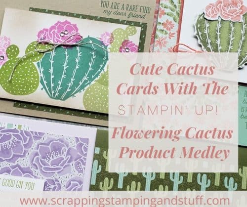 Stampin Up Flowering Cactus is an adorable product collection including cactus stamps, dies, paper and embellishments for amazingly adorable cactus cards.