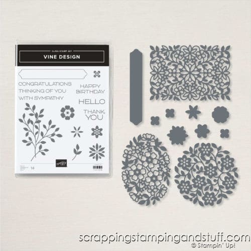 Stampin Up Vine Design Stamp Set And Flowering Vine Dies