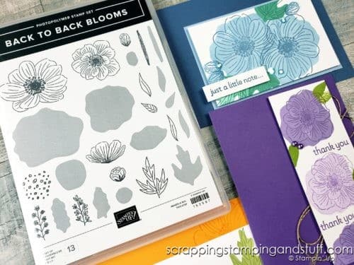  Reversibles stamps allow you to stamp detail and fill in with one single stamp! See how they work with the Stampin Up Back To Back Blooms set. 