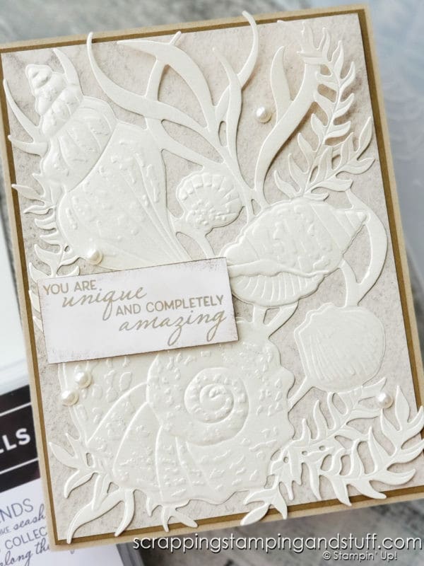 The Stampin Up Friends Are Like Seashells bundle is a gorgeous new beach-themed stamp and die set. Click here to see 7 techniques and 10 gorgeous card samples!