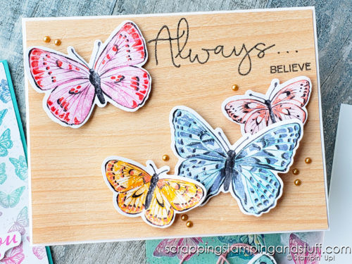 The Stampin Up Butterfly Brilliance bundle is here, and it's gorgeous! Take a look at 8 beautiful card samples here!