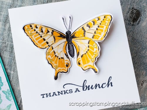 The Stampin Up Butterfly Brilliance bundle is here, and it's gorgeous! Take a look at 8 beautiful card samples here!