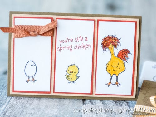 Make cute chicken cards with the Hey Chick stamp set and Springtime Joy stamps set. These cards are so adorable!