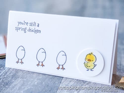 Make cute chicken cards with the Hey Chick stamp set and Springtime Joy stamps set. These cards are so adorable!