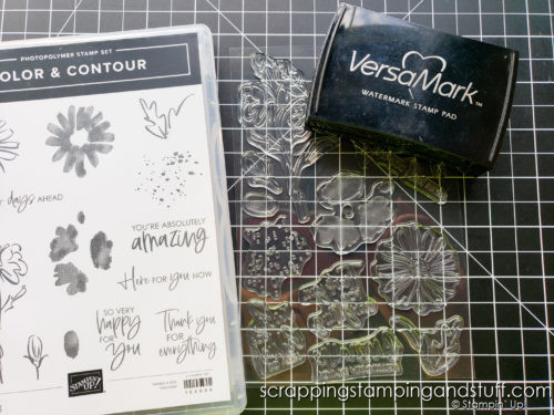 Stampin Up has repackaged our photopolymer stamps and you're going to want to know what to expect! Read more here!