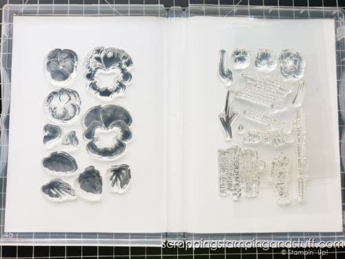 Stampin Up has repackaged our photopolymer stamps and you're going to want to know what to expect! Read more here!