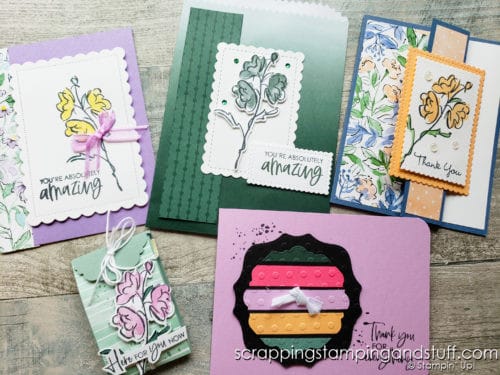 Take a look at these 52 amazing card and 3D paper project samples I received during the Stampin Up Maui Incentive Trip!