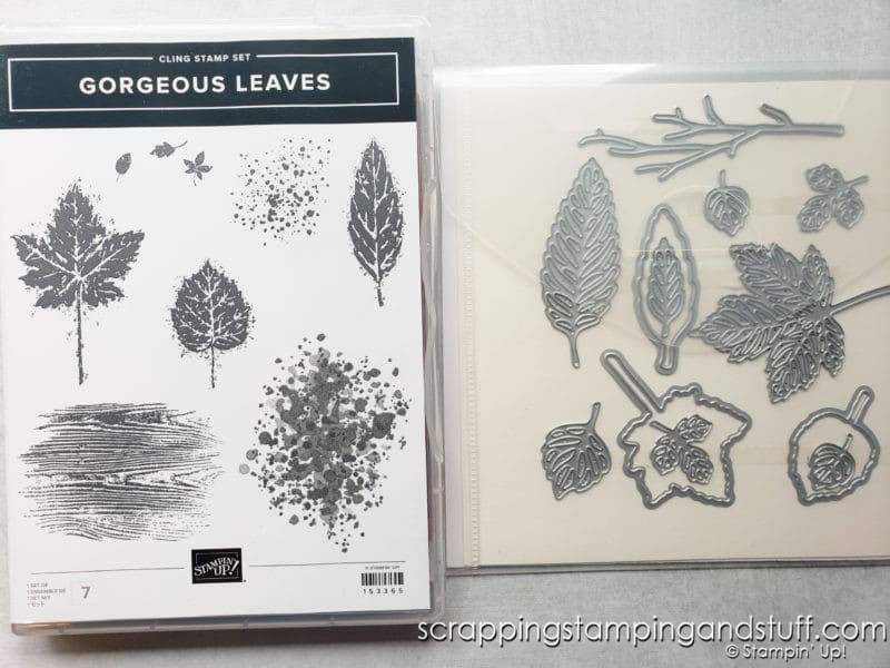 Make beautiful natural cards using the Stampin Up Gorgeous Leaves bundle! Perfect for fall and other seasons through the year!