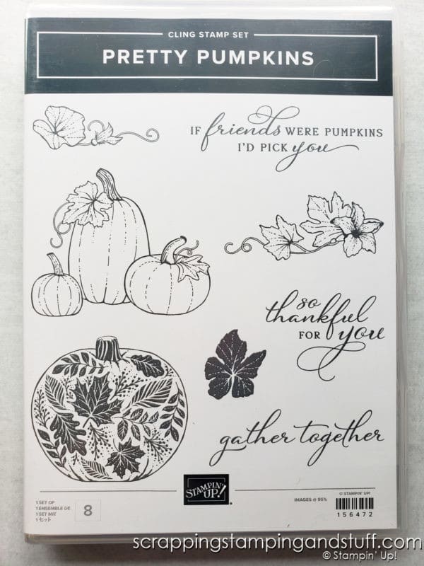 Make beautiful natural cards using the Stampin Up Gorgeous Leaves bundle! Perfect for fall and other seasons through the year!