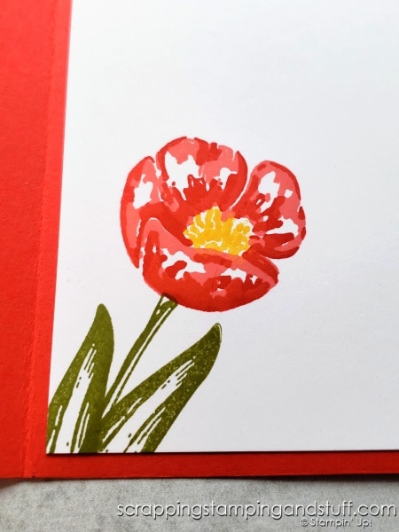 See a gorgeous fun fold card made with the Stampin Up Flowering Tulips bundle and also learn how to assemble the Stampin Up Tulips dies!