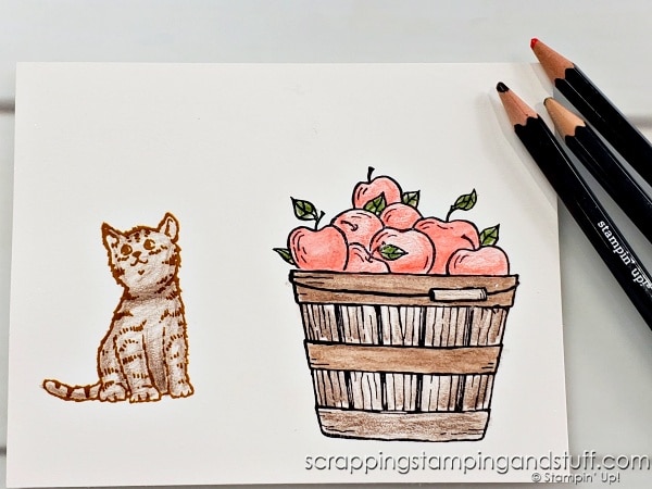 Learn how to use watercolor pencils for card making! Use them like regular pencils or try these amazing techniques!