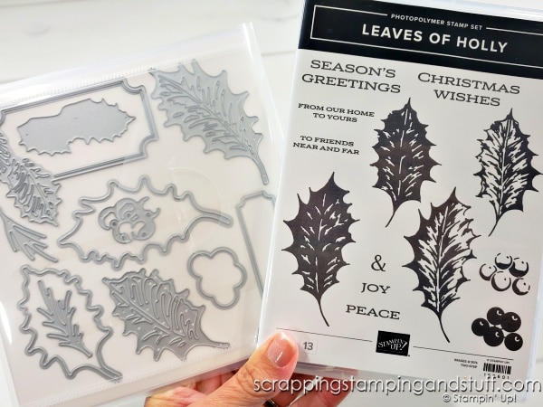 Create 10 clean and simple cards in no time using this white cardstock one sheet wonder! Cards feature the Stampin Up Leaves of Holly stamps.