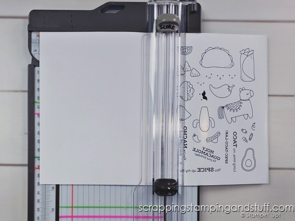 Click to see how I prep my clear stamps for use on my card projects - this has been a game changer in saving time and energy in my craft room!