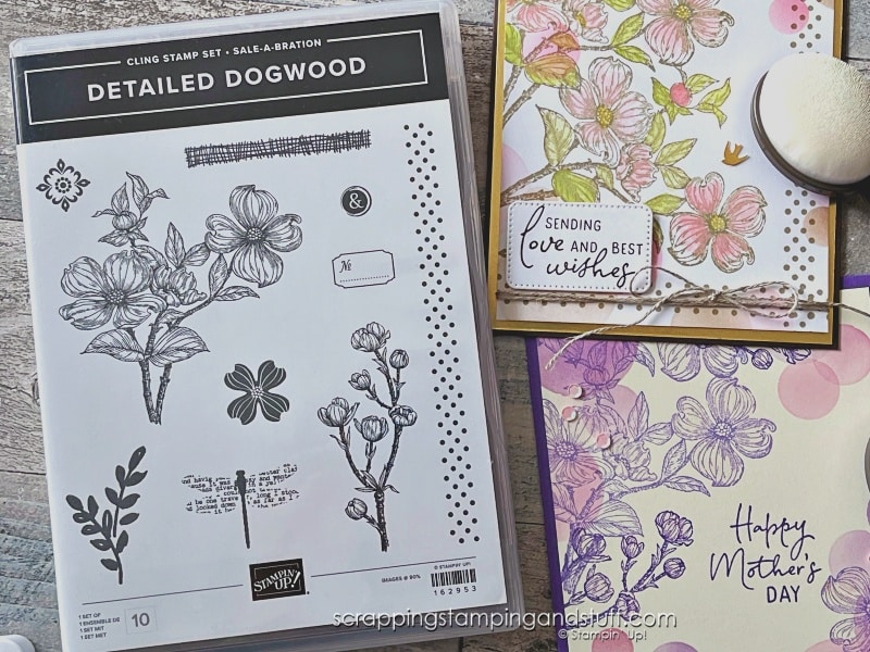 Click for simple instructions and video tutorial for using the bokeh technique for card making to create simple yet stunning cards! Samples feature Stampin Up Detailed Dogwood.