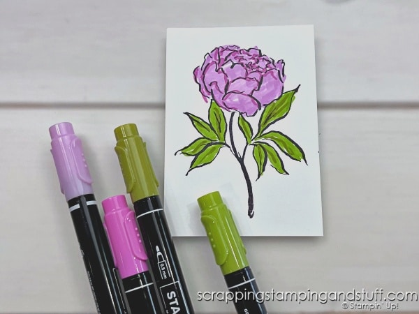 Click for a Complete Beginners Guide To Inks, Markers and Coloring Tools. Learn all about how to add color to your card making projects!