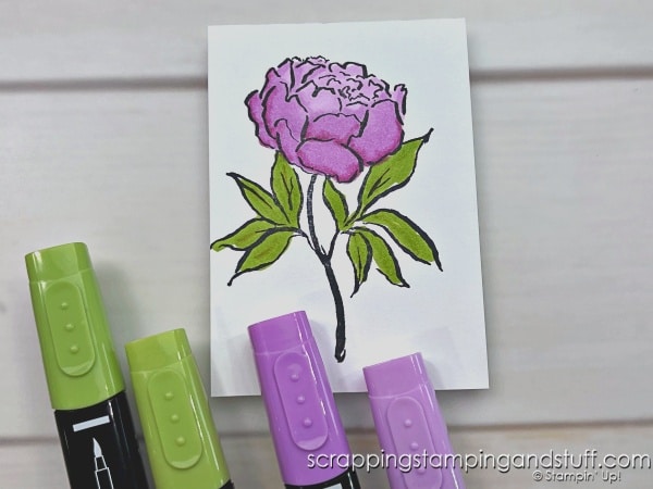 Click for a Complete Beginners Guide To Inks, Markers and Coloring Tools. Learn all about how to add color to your card making projects!