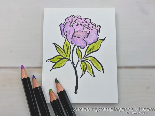 Click for a Complete Beginners Guide To Inks, Markers and Coloring Tools. Learn all about how to add color to your card making projects!