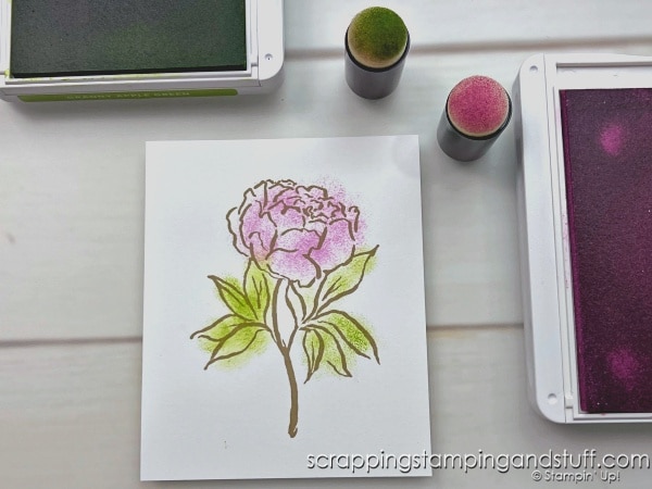 Click for a Complete Beginners Guide To Inks, Markers and Coloring Tools. Learn all about how to add color to your card making projects!